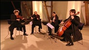 Das Szymanowski-Quartett © NDR 