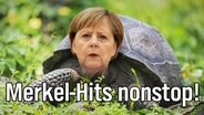 Merkel-Hits nonstop!  