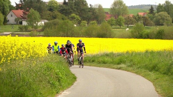 Teilnehmer des Radmarathons "Mecklenburger Seenrunde" fahren zwischen Rapsfeldern entlang.  