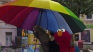 Elmo und Pferd unter einem bunten Regenschirm © NDR 