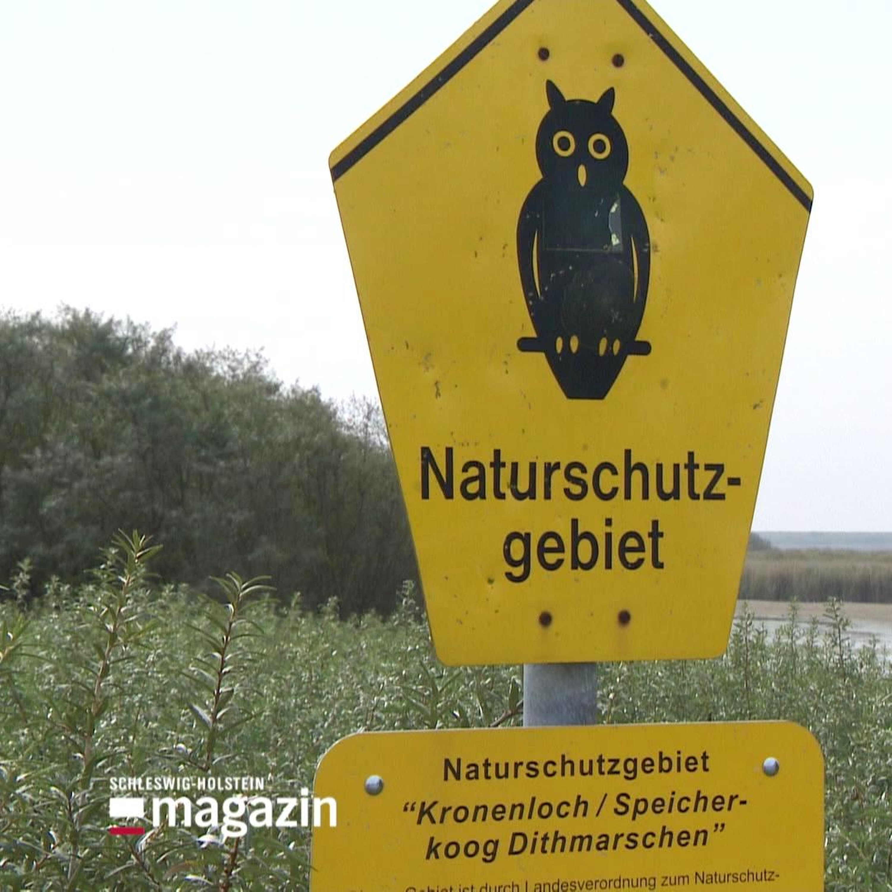 Moin! Die Reportage