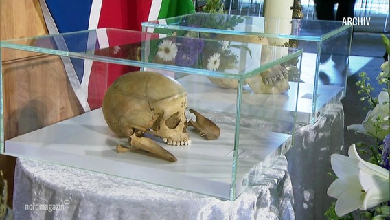 The skulls of the murdered Herero are displayed in glass cases.  