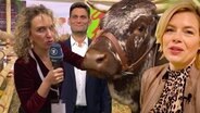 Reporterin Katja Kreml auf der Grünen Woche  