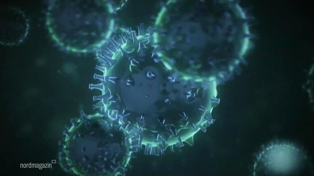 MV: Sorge vor Coronavirus wächst