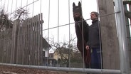 Mann mit Pferd vor einem verschlossenen Zaun  