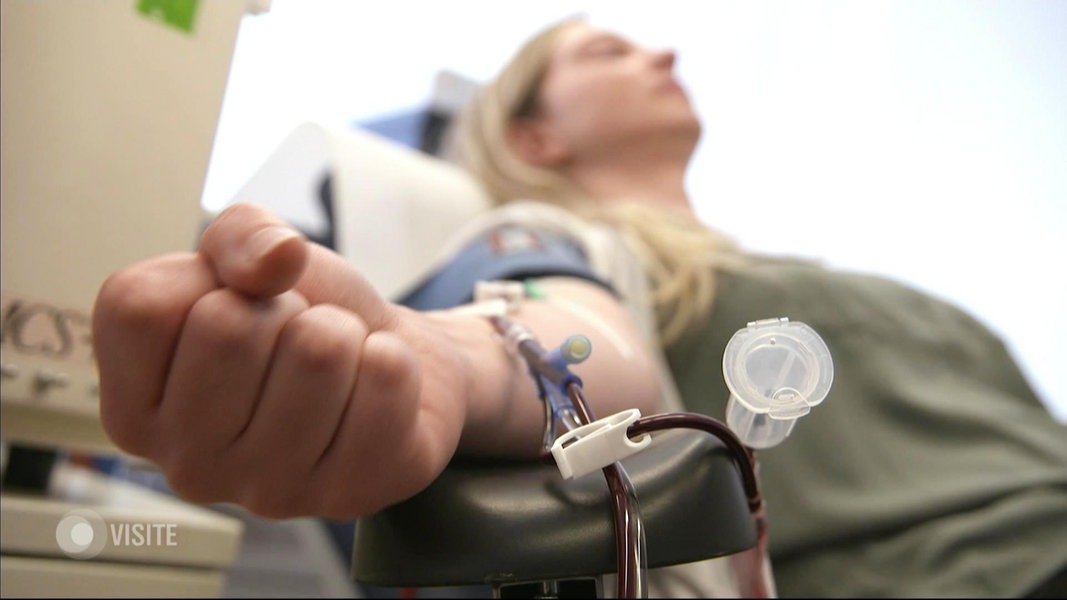 Coronavirus Antikorper Wie Gut Wirkt Plasma Von Genesenen Ndr De Ratgeber Gesundheit