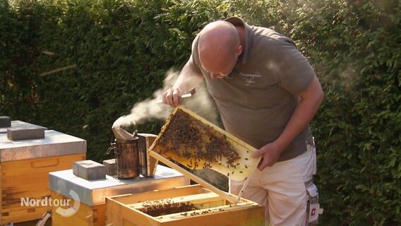 Christian Eggers kontrolliert einen Bienenstock.  