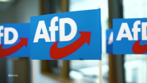 Kleine Fähnchen, auf den das AfD Logo zu sehen ist.  