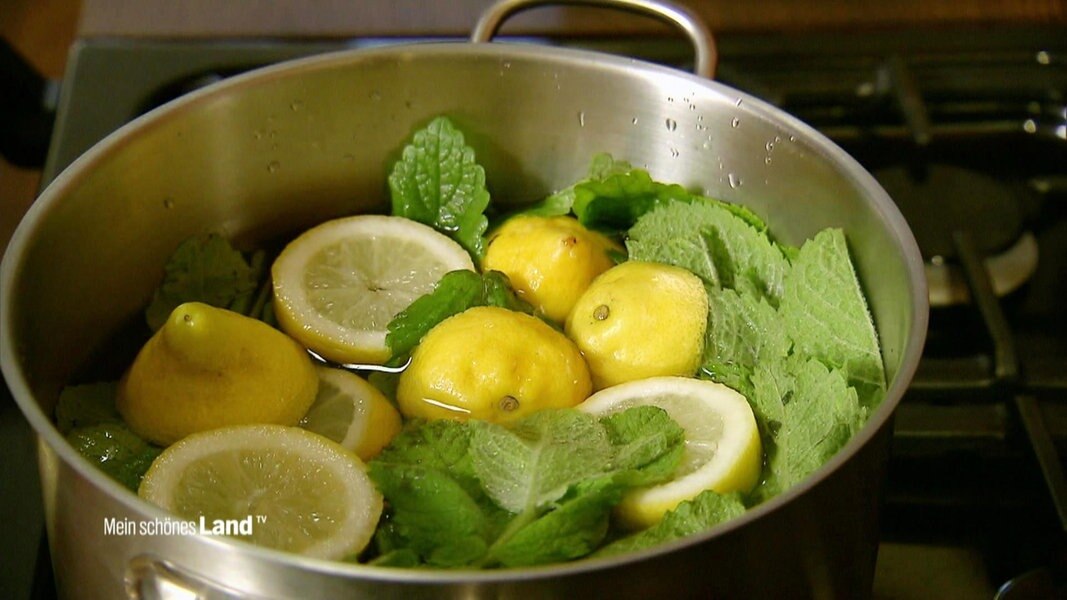 Sirup aus frischer Minze | NDR.de - Fernsehen - Sendungen A-Z - Mein ...