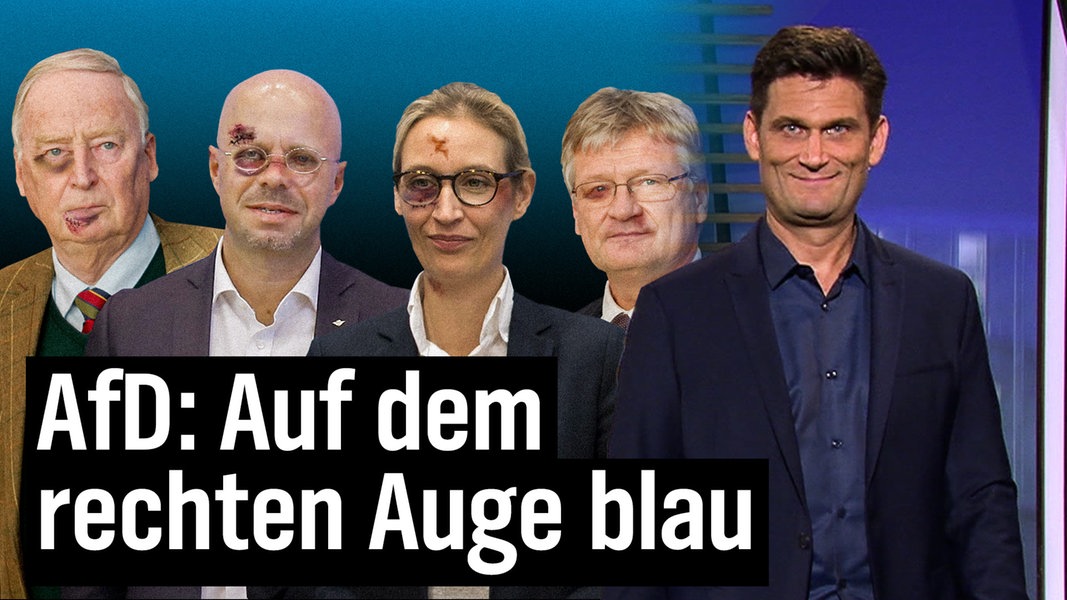 Die AfD zerfleischt sich selbst Das Erste extra 3
