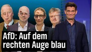 Gauland, Weidel, Kalbitz und Meuthen von der AfD mit blauem Auge. Davor Christian Ehring.  