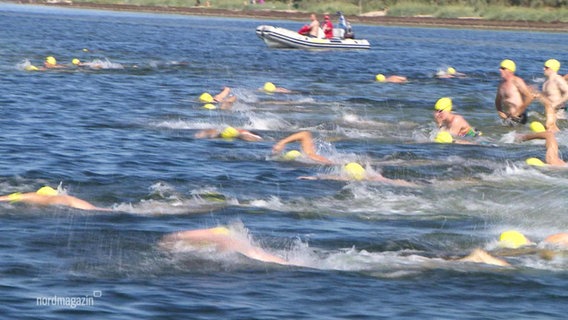 Menschen mit gelben Badekappen schwimmen in der Wismarbucht.  
