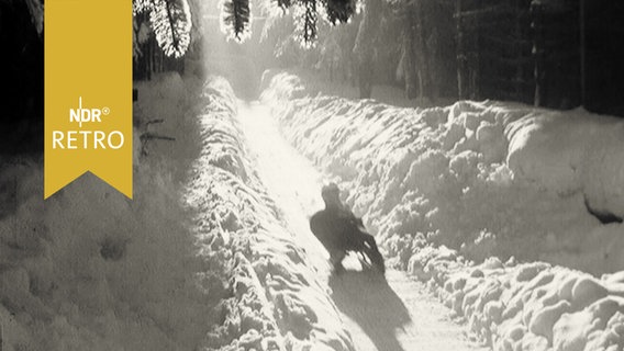 Rodler auf der Bahn in Hahnenklee in verschneitem Wald (1961)  
