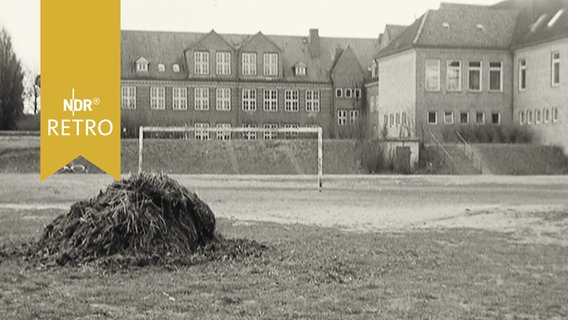 Wiese mit einem Fußballtor und Erdhaufen  