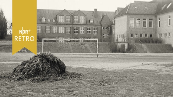 Wiese mit einem Fußballtor und Erdhaufen  