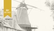 Windmühle in Lemkenhafen 1961  
