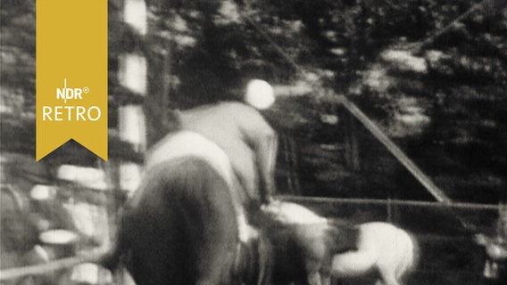 Frau auf Pferd beim Ringreiterfest in Sonderburg im Anritt auf den zu erhaschenden Ring (1960)  