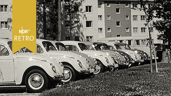 Zahlreiche VW-Käfer auf einem Parkplatz vor einer Wohnsiedlung in Wolfsburg  
