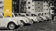 Zahlreiche VW-Käfer auf einem Parkplatz vor einer Wohnsiedlung in Wolfsburg  