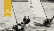 Zwei Jollen bei starkem Wind auf der Schlei (1958)  