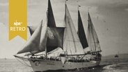 Segelschulschiff "Albatross" unter Segeln in Fahrt auf dem Meer (1958)  