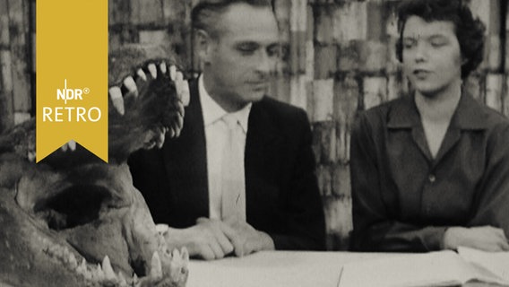 Geöffneter Raubfischkiefer auf einem Tisch neben zwei Personen beim Interview (1958)  