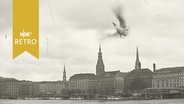 Panorama der Binnenalster (1958) mit Möwe im Flug  
