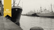 Frachtschiffe an einem Quai im Hamburger Hafen 1962  