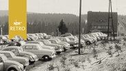 Voller Parkplatz in Torfhaus im Harz (1959)  