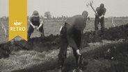 Drei Männer mit Gabeln und Spaten bei der Arbeit im Moor 1960  