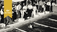 Staffel der Frauen beim Wechsel in der Schwimm-Meisterschaft 1961  