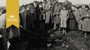 Zahlreiche Besucher begutachten Tonkrüge in einem Urnengrab bei einer Ausgrabung (1961)  