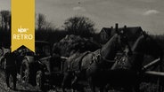Gespann mit zwei Pferden zieht einen im Ackerboden eingesunkenen Trecker frei (1961)  