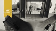 Bug eines sogenannten Netztenders (Kriegsschiff) 1961 im Hafen von Rendsburg  