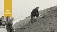 Zwei Bauarbeiter mit Schaufeln am Deich (1961)  