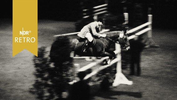 Springreiterin mit Pferd bei Bewältigung eines Hindernisses auf dem Parcours in der Ostseehalle Kiel 1961  