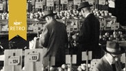 Kisten mit Zitrusfrüchten auf dem Hamburger Großmarkt (1960)  
