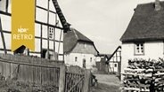 Dorfansicht Derental im Solling 1961, niedersächsische Bauernhäuser mit Fachwerk  