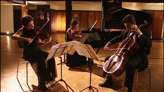 Das Lübecker Cello Ensemble spielt Peter Tschaikowsky. © NDR 