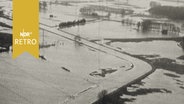 Überflutete Felder an der großen Aue (1961)  