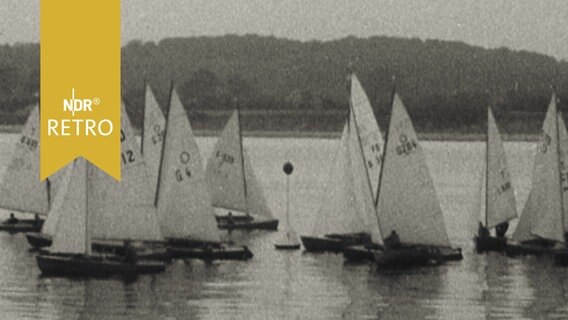 Segelschiffe in der Kieler Föhrde während der Kieler Woche 1963  