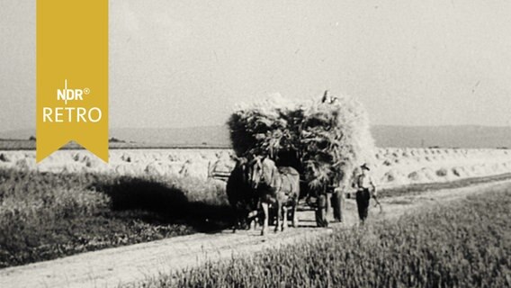 Bauer mit Pferdegespann beim Einbringen der Getreideernte 1995  