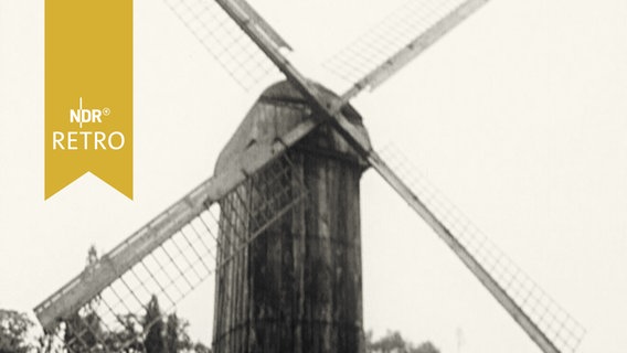 Zu touristischen Zwecken erbaute Windmühle in Münster (1963)  