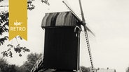 Windmühle in Ostfriesland 1963  