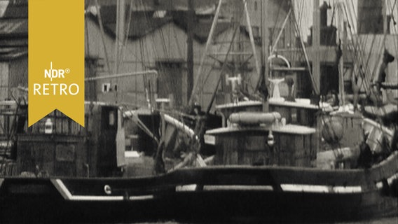 Zwei Fischkutter in einem Fischereihafen 1963 (Bremerhaven)  
