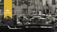 Zwei Fischkutter in einem Fischereihafen 1963 (Bremerhaven)  