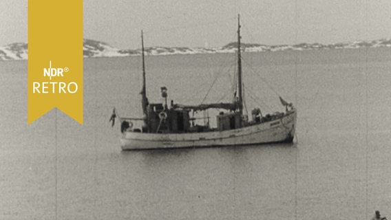 Fischkutter in einer Bucht von Grönland (1960)  