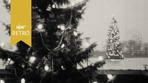 Geschmückte Weihnachtsbäume auf der Hambuger Binnenalster (1964)  