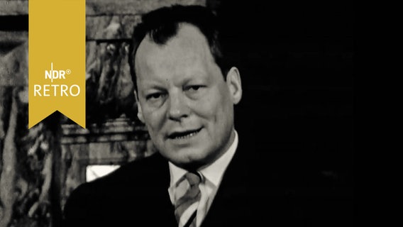 Willy Brandt schaut in die Kamera (1961)  