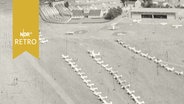 Zahlreiche Kleinflugzeuge auf einem Rollfeld in Braunschweig von oben (1961)  